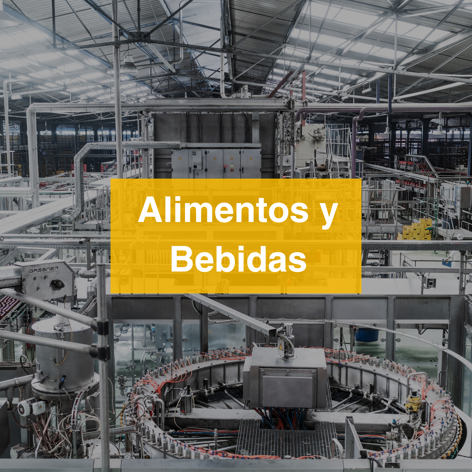 alimentos y Bebidas