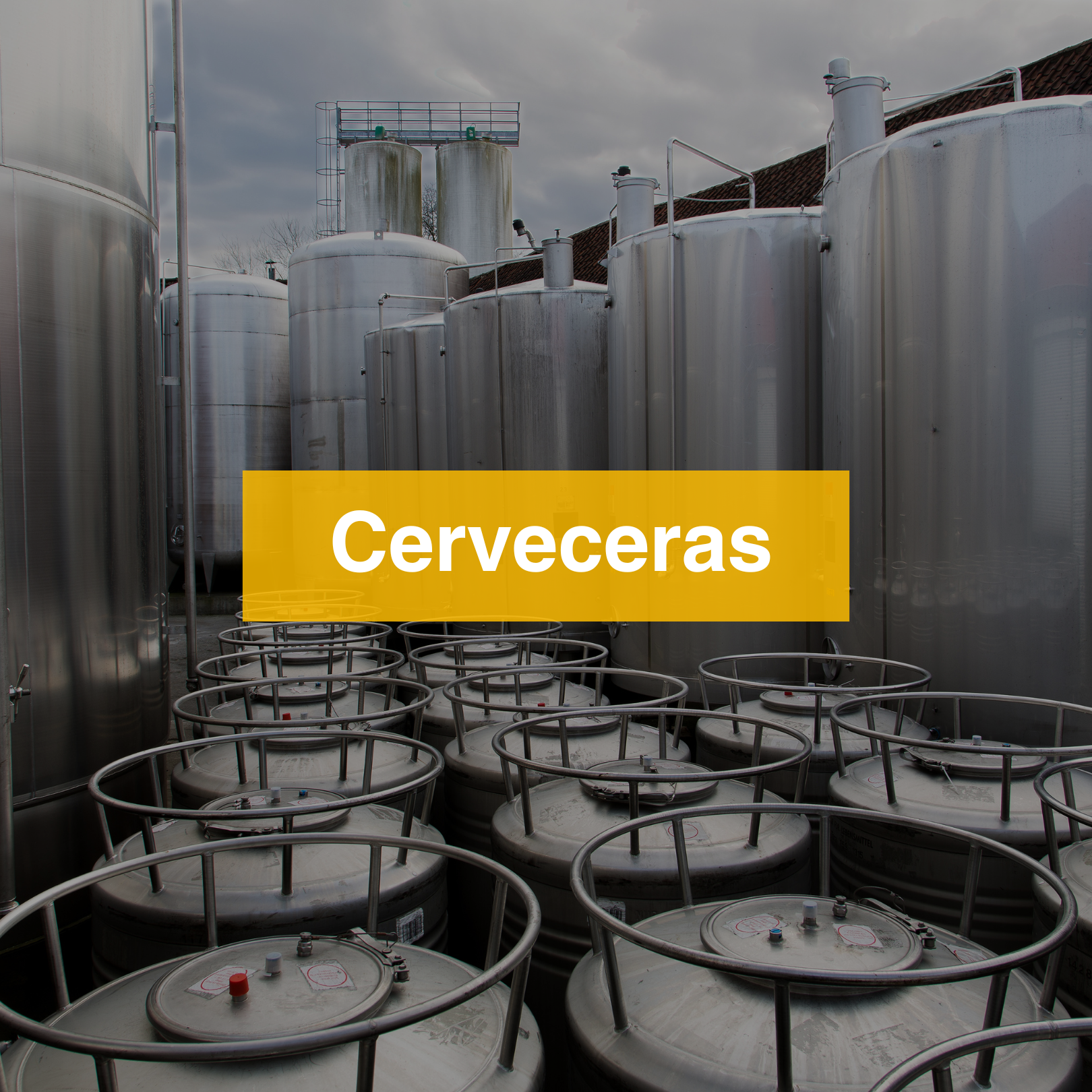 cerveceras